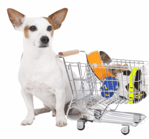 pet-supplies-dogloverszw