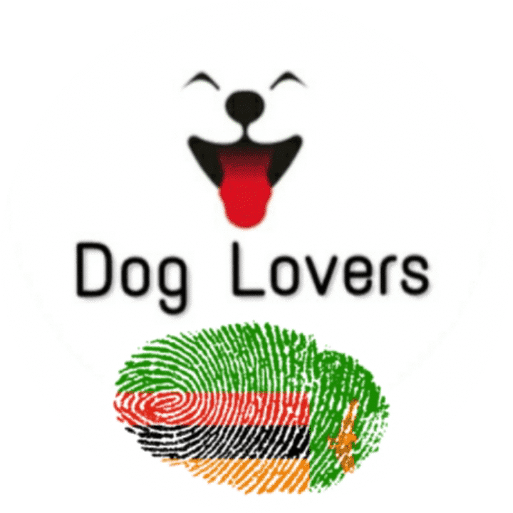Dog Lovers Zambia