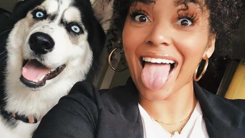 doglovers-pet-header doglovers pet header